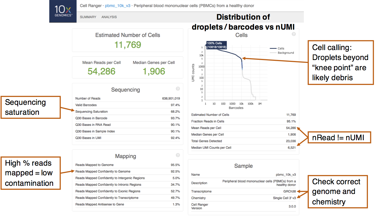 An example 10X summary report obtained from scRNA-seq of peripheral blood mononuclear cells (PBMCs). Important summary statistics to note are indicated.
