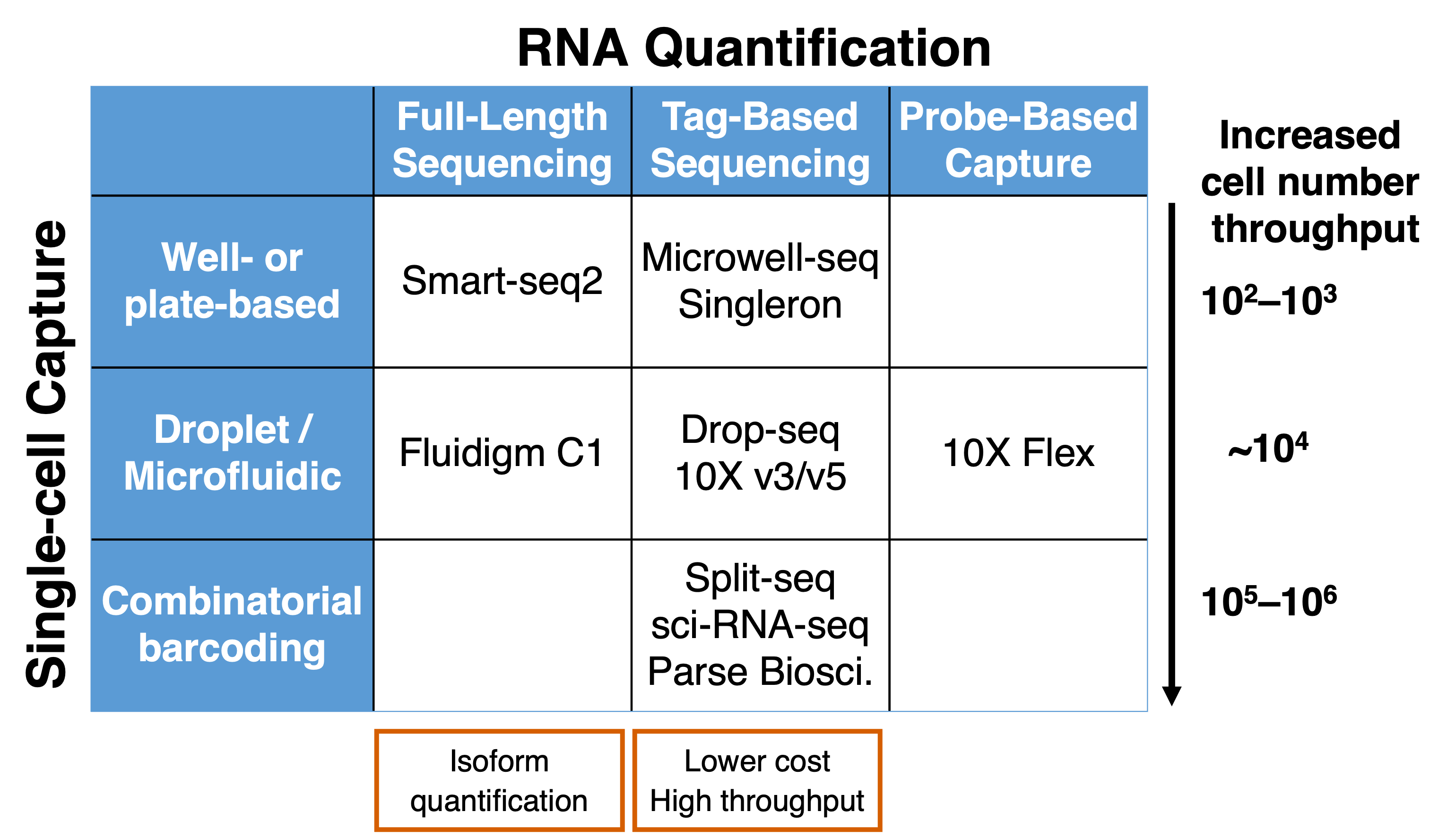 scRNA-seq techniques differ in single-cell capture and quantification of RNA abundance.